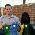 Tripper_2017 Field Spaniel Specialty_Obedience.Rally